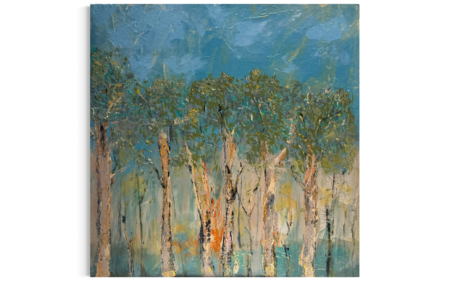 River view (Burrum River)