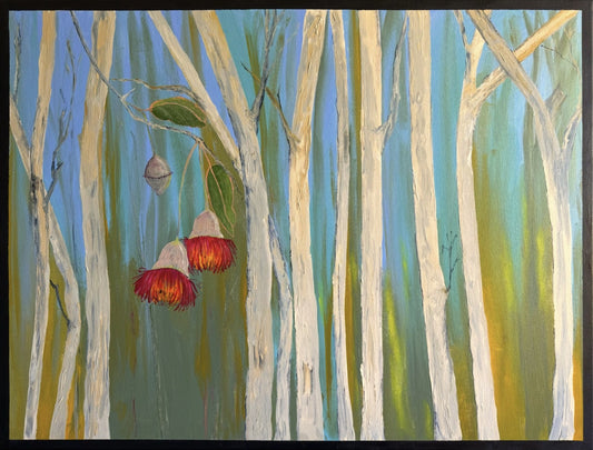 Eucalyptus Dance