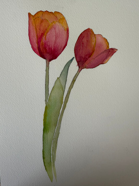 Tuliips for Days