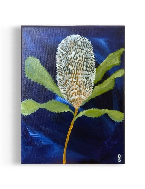 Banksia